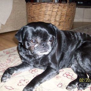 Meet your Posher, Joan